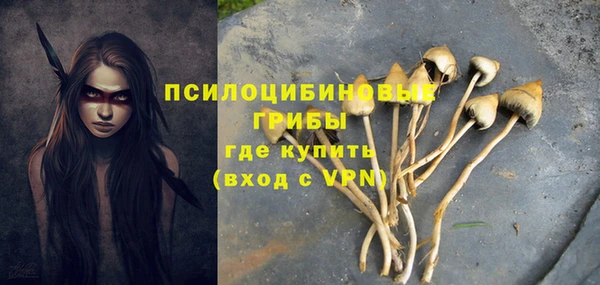 экстази Алексин